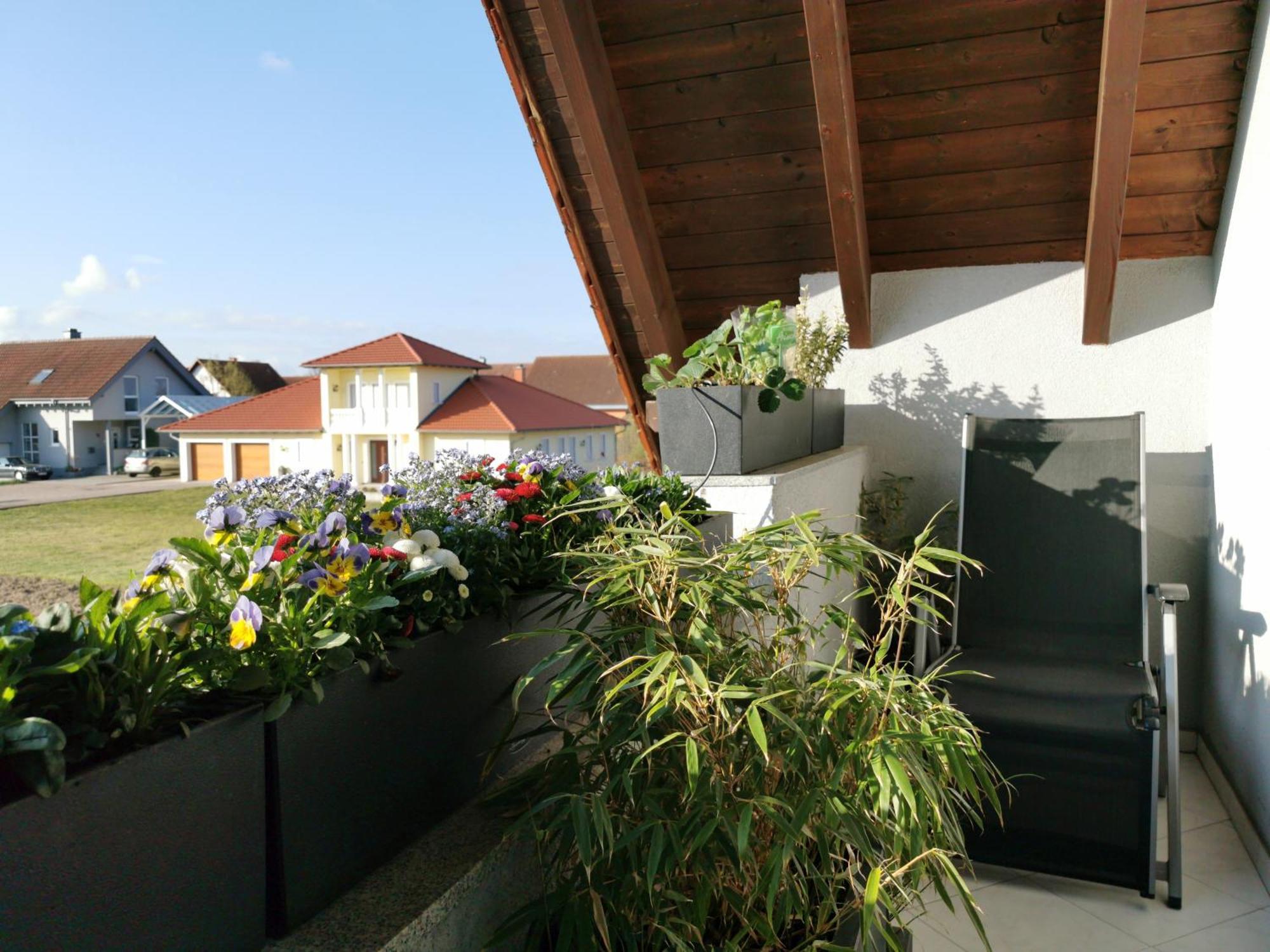 70Qm Wohnung, 76771 Hoerdt, Naturschutzgebiet, Rheinland-Pfalz Hordt Екстериор снимка
